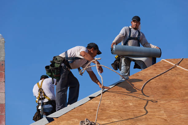 Professional Roofing Contractor in Camden, DE